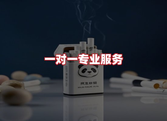 专业团队